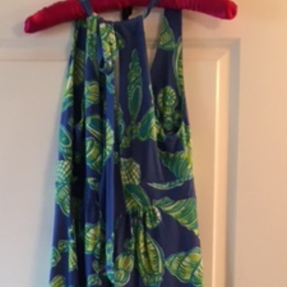 Sweet Lily Pulitzer Maxi Dress - Picture 3 of 6